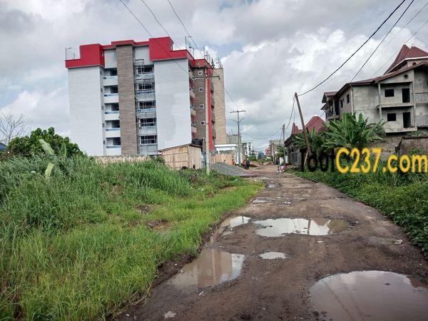 Terrain à vendre à Bonamoussadi Douala