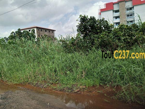 Terrain à vendre à Bonamoussadi Douala