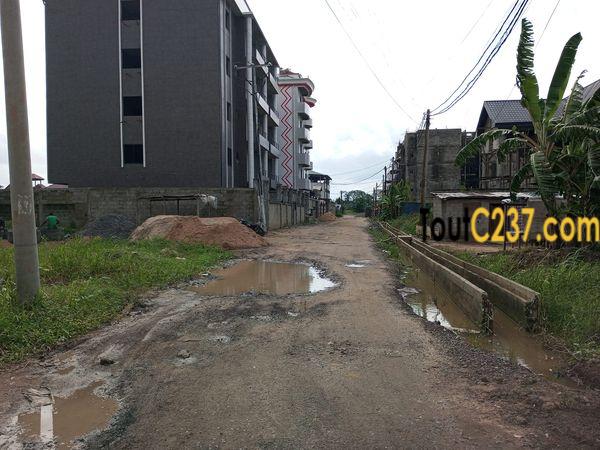 Terrain à vendre à Bonamoussadi Douala