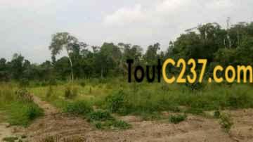 Terrains Morcelable à vendre à PK18 Douala