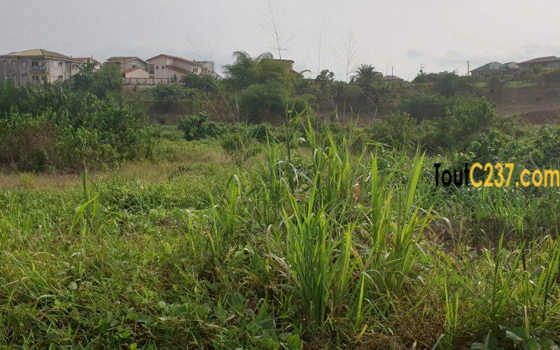 Vente Terrains d'angle à Yassa Nkolbong - Douala