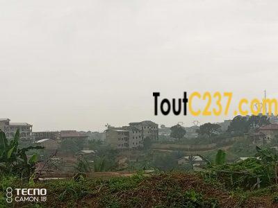 Terrain à vendre à Pk17 Douala