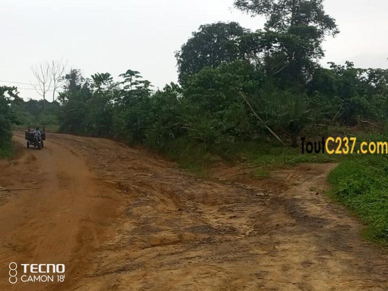 Terrain à vendre à Pk17 Douala