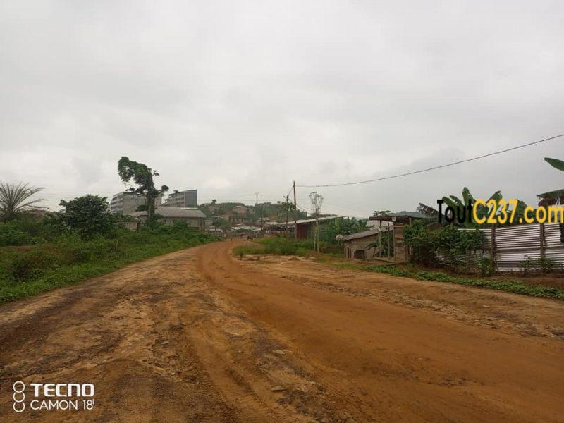 Terrain à vendre à Pk17 Douala