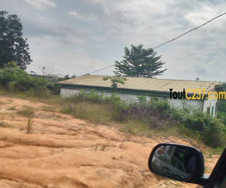 Terrain à vendre à Douala Ngoma