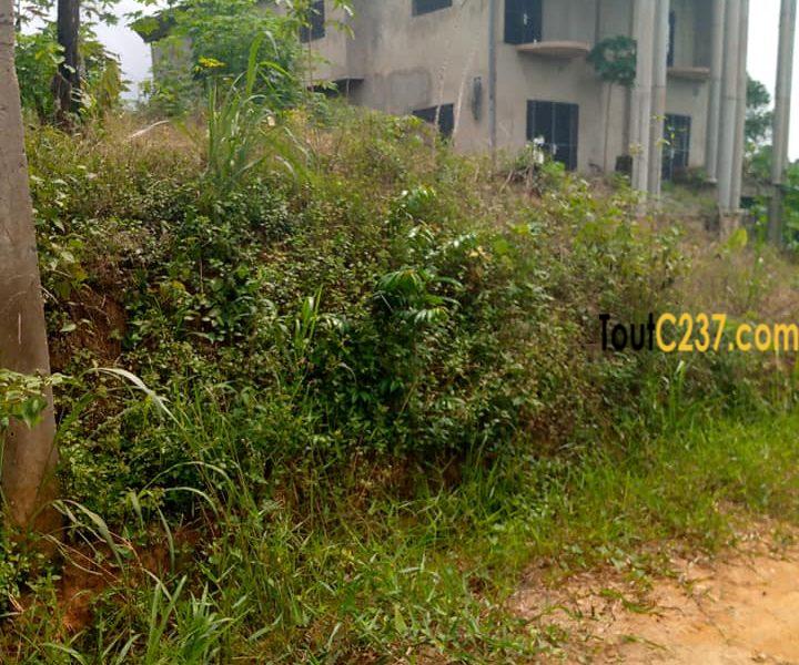 Terrain à vendre à Douala Ngoma