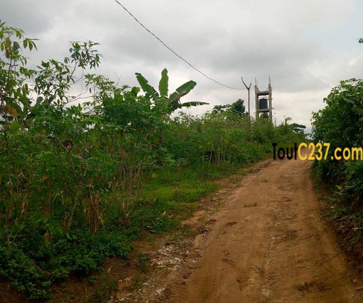 Terrain à vendre à Douala Ngoma