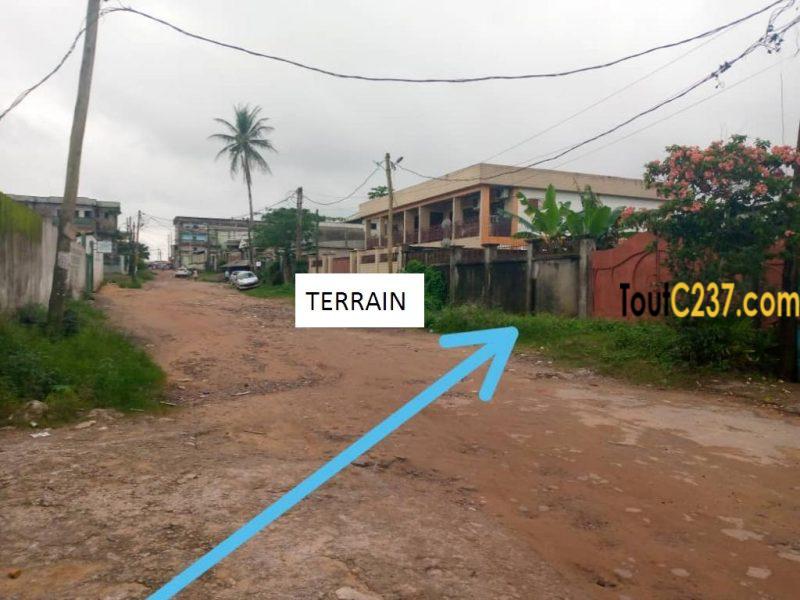 Terrain à vendre à Logbaba Douala