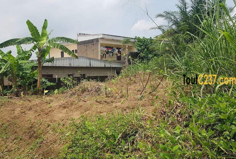 Terrain à vendre à Pk10 Douala