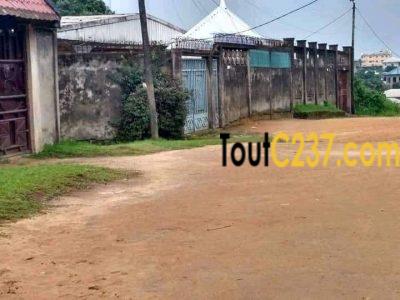 Terrain à vendre à Pk10 Douala