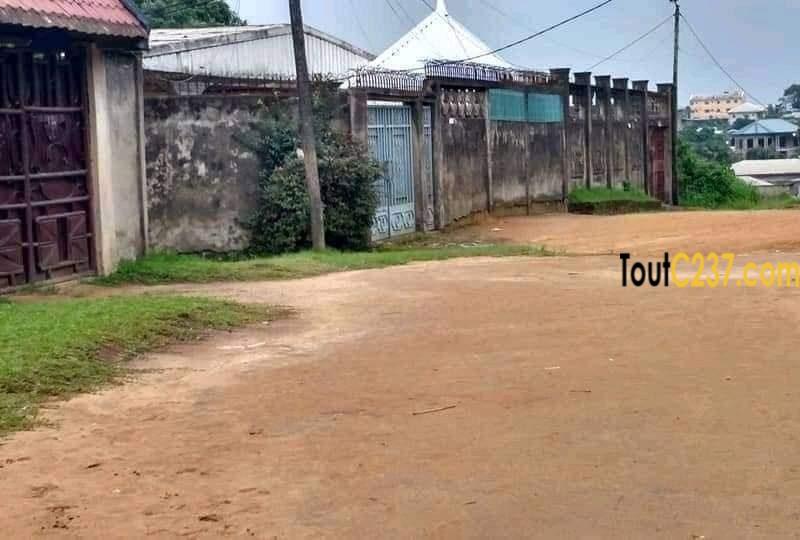 Terrain à vendre à Pk10 Douala