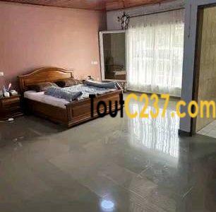 Vaste villa à louer à Bonamoussadi