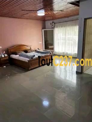 Vaste villa à louer à Bonamoussadi