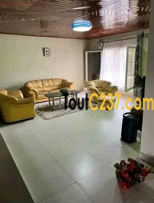 Vaste villa à louer à Bonamoussadi