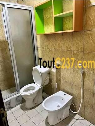 Vaste villa à louer à Bonamoussadi