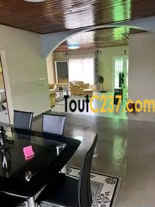 Vaste villa à louer à Bonamoussadi