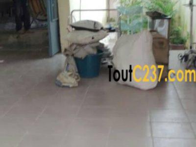 Maison villa à louer à Cité des palmiers Douala