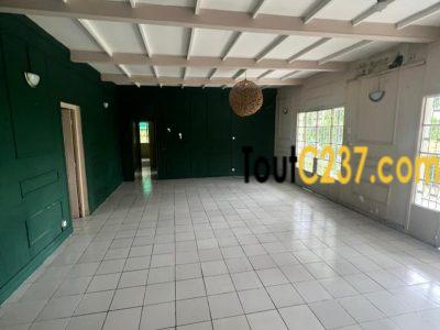 Maison en villa à louer à Bonapriso