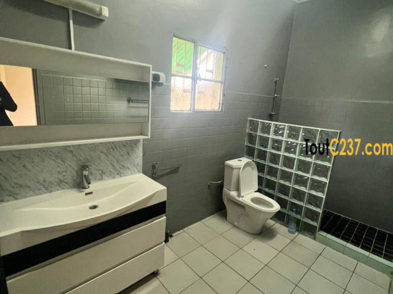 Maison en villa à louer à Bonapriso