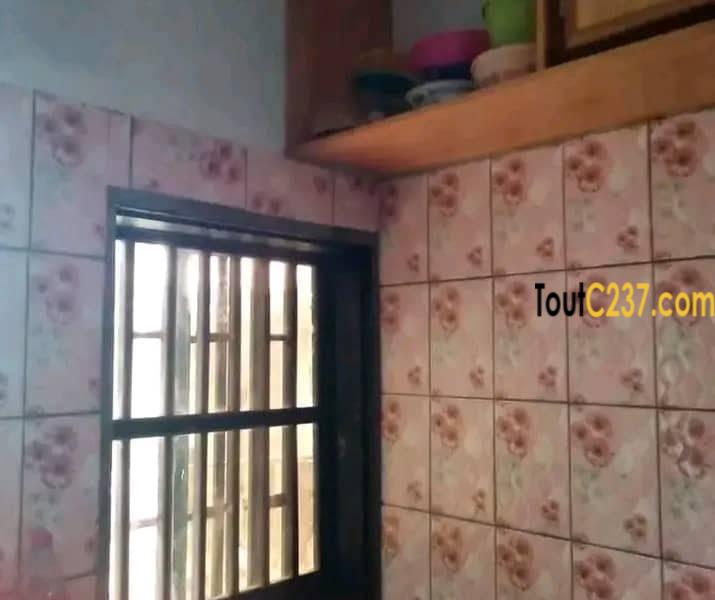Maison à vendre à Pk12 Douala