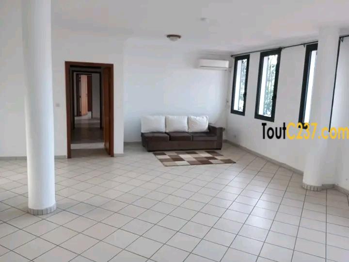 Appartement à louer à Bonanjo Douala