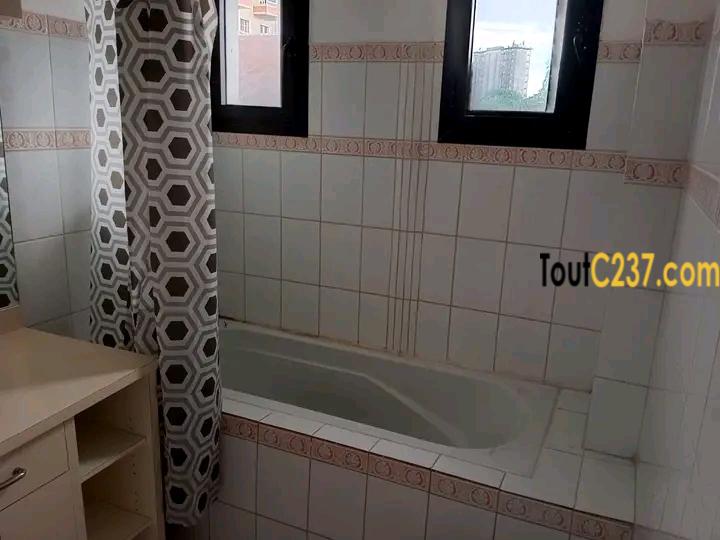 Appartement à louer à Bonanjo Douala