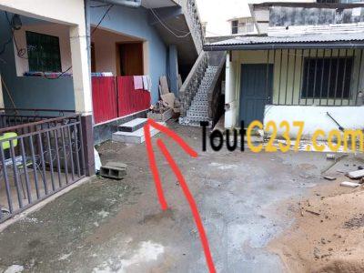 Appartement à louer à Bonapriso