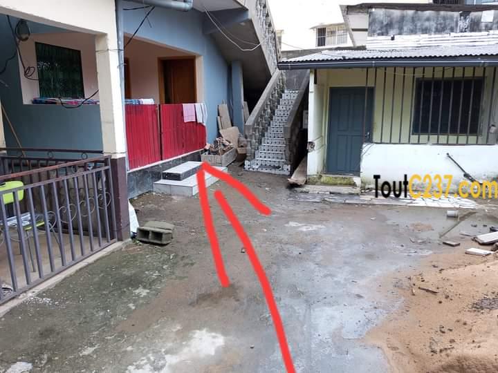 Appartement à louer à Bonapriso