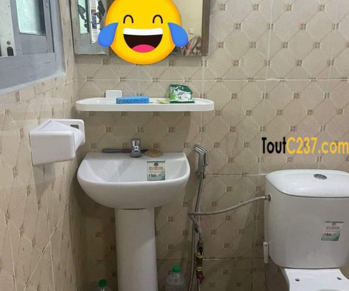 Appartement à louer à Bonapriso