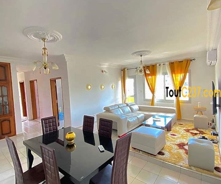 Appartement meublé à louer à Bonamoussadi