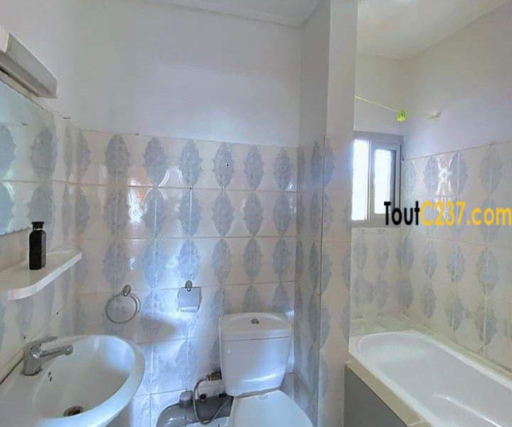 Appartement meublé à louer à Bonamoussadi