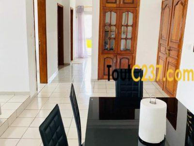 Appartements meubles à louer à Bonamoussadi