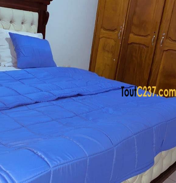 Appartement meublé à louer à Bonamoussadi