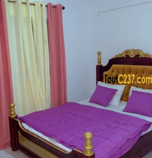 Appartement meublé à louer à Bonamoussadi