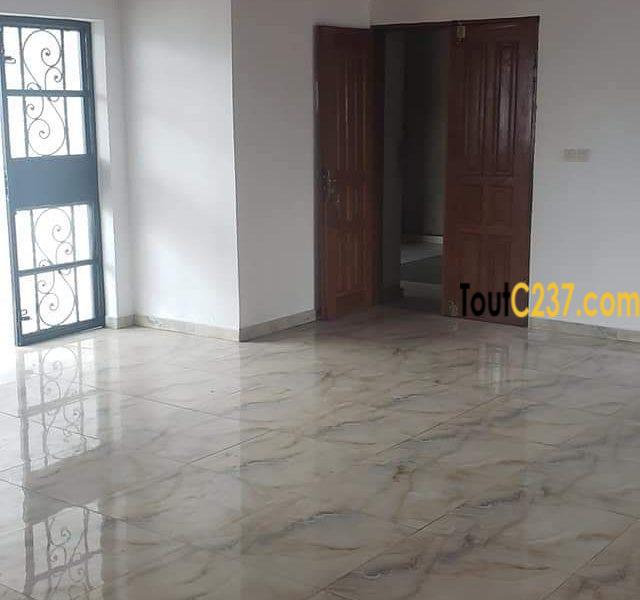 Appartement à louer à Bonamoussadi