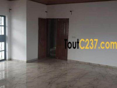 Appartement à louer à Bonamoussadi