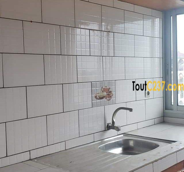 Appartement à louer à Bonamoussadi