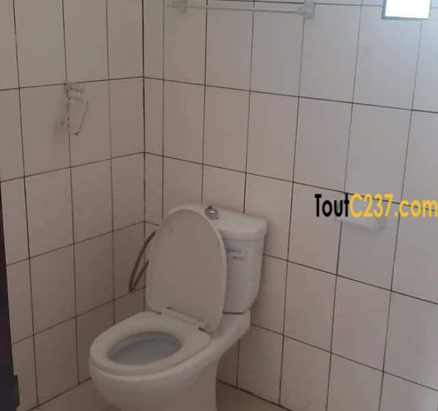 Appartement à louer à Bonamoussadi