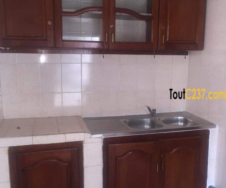 Jolie Maison en Villa a louer a Bonapriso