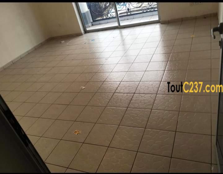 Appartement à louer à Bonapriso Douala