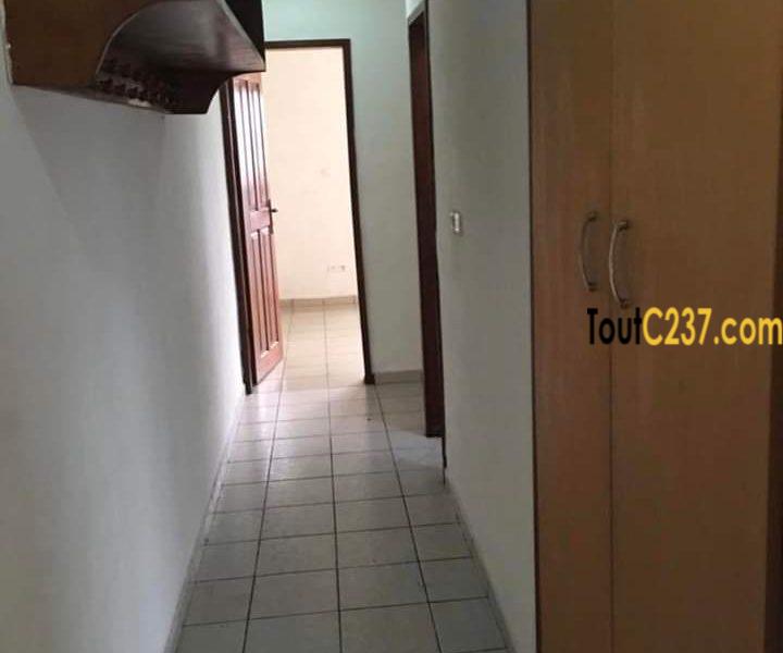 Appartement à louer à Bonapriso Douala