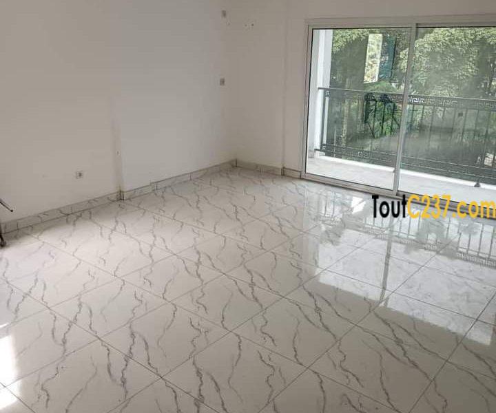 Appartement à louer à Bonapriso, Douala