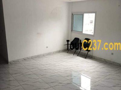 Appartement à louer à Bonapriso, Douala