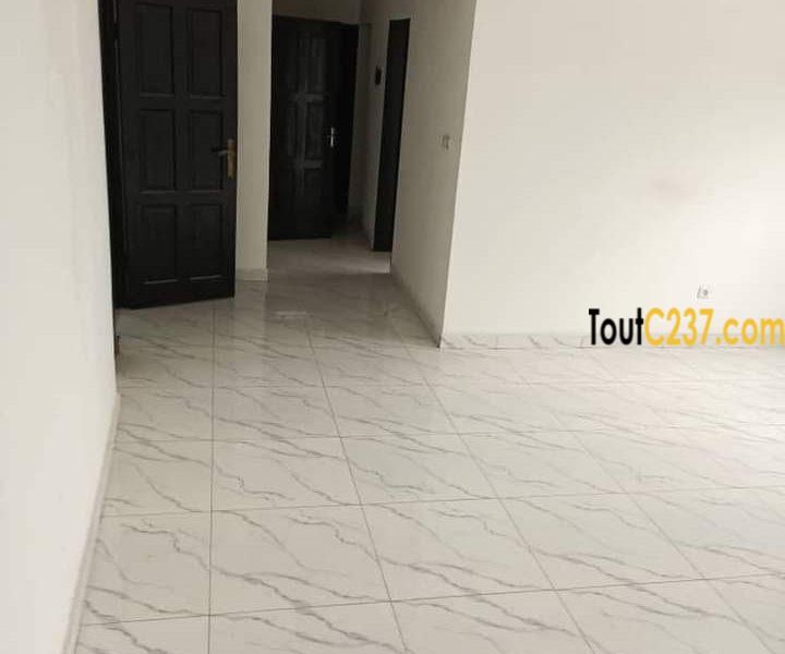 Appartement à louer à Bonapriso, Douala