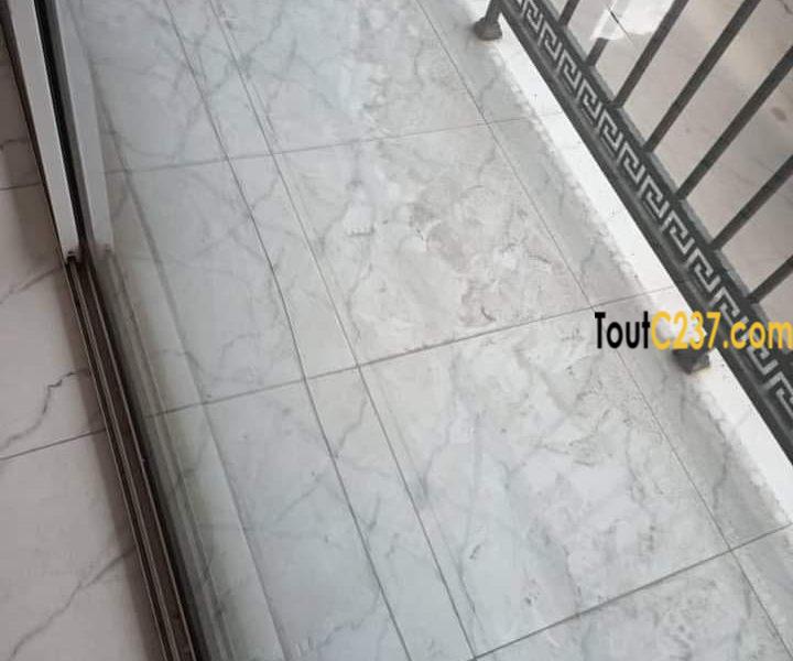 Appartement à louer à Bonapriso, Douala