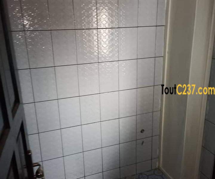 Appartement à louer à Bonapriso, Douala