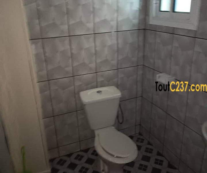 Appartement à louer à Bonapriso, Douala