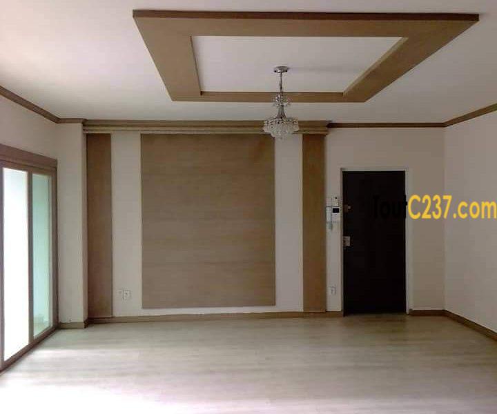 Appartement à louer à Bonapriso Douala