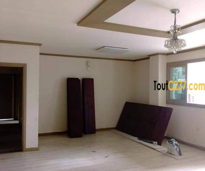 Appartement à louer à Bonapriso Douala