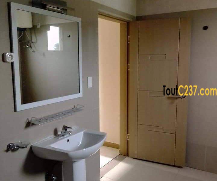 Appartement à louer à Bonapriso Douala